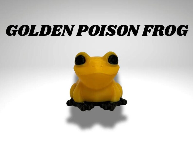 Winziges goldenes Giftfrosch-Terrarium - 3D gedruckter Frosch und Terrarium - Raumdekor Bild 3