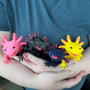 Articulated Smiling Axolotl | Sensory Stress Fidget | As Seen On TikTok | Flexible Multi Coloured Axolotl Cute Gift | 3DPrinted Custom (msg us plz)
