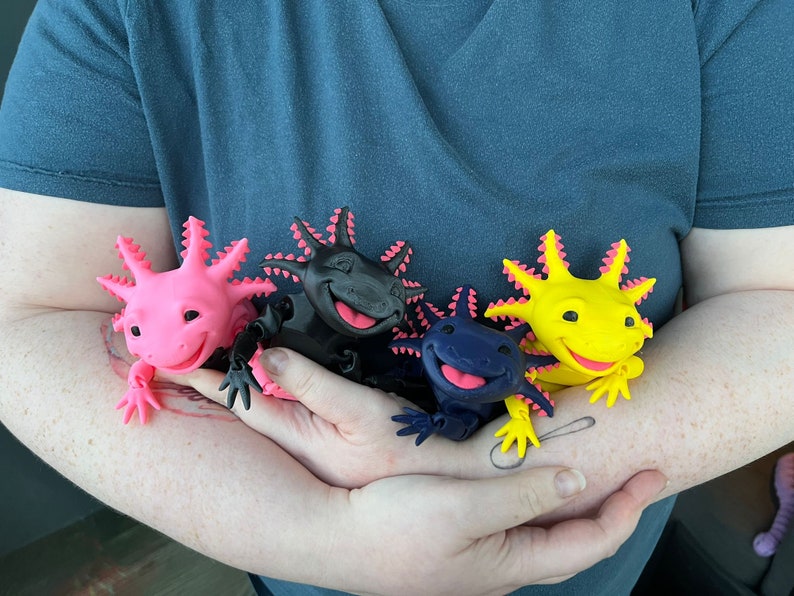Articulated Smiling Axolotl | Sensory Stress Fidget | As Seen On TikTok | Flexible Multi Coloured Axolotl Cute Gift | 3DPrinted Custom (msg us plz)