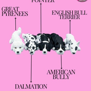 May include: A chart showing the different dog breeds that make up a Dalmatian. The breeds are: Great Pyrenees, German Shorthaired Pointer, English Bull Terrier, American Bully.