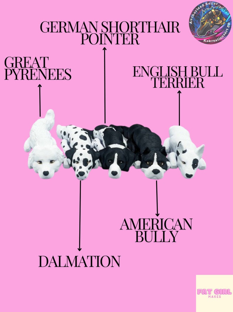 May include: A chart showing the different dog breeds that make up a Dalmatian. The breeds are: Great Pyrenees, German Shorthaired Pointer, English Bull Terrier, American Bully.