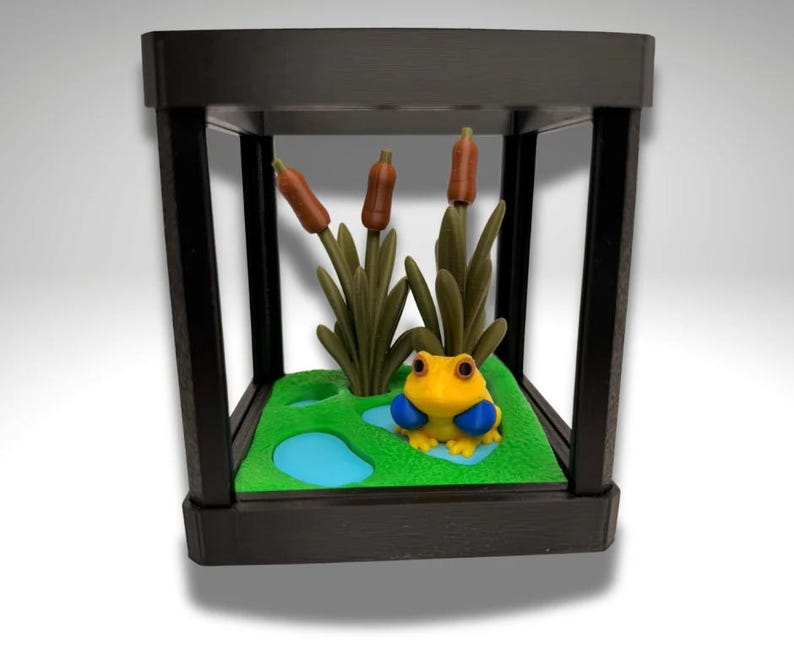 Tiny Indian Bull Frog Terrarium - 3D Printed Frog and Terrarium - Room Decor image 1