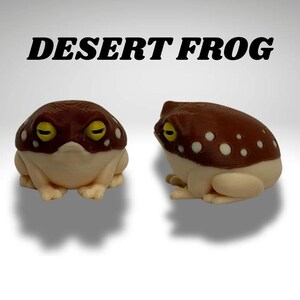 Tiny Desert Frog Terrarium - 3D Printed Frog and Terrarium - Room Decor image 3