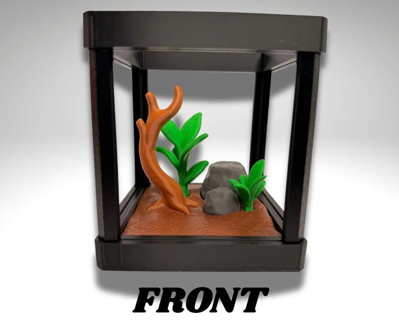 Winziges goldenes Giftfrosch-Terrarium - 3D gedruckter Frosch und Terrarium - Raumdekor Bild 4