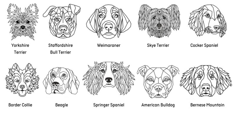May include: A digital illustration of 10 different dog breeds, each with a geometric design. The breeds are Yorkshire Terrier, Staffordshire Bull Terrier, Weimaraner, Skye Terrier, Cocker Spaniel, Border Collie, Beagle, Springer Spaniel, American Bulldog, and Bernese Mountain Dog.