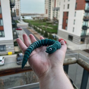 May include: A green segmented toy snake with a large eye and a toothy grin. The snake is curled up in a person's hand.