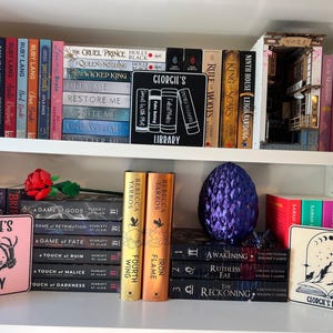Book Trope パーソナライズされた図書館サイン - リーダー、本棚、Booktok、Bookstagram 画像 3