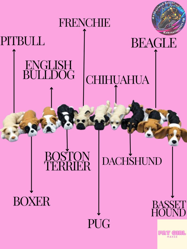 May include: A chart showing different dog breeds with their names written above them. The chart features a row of small dog figurines, including a pug, chihuahua, dachshund, beagle, french bulldog, boston terrier, and more.