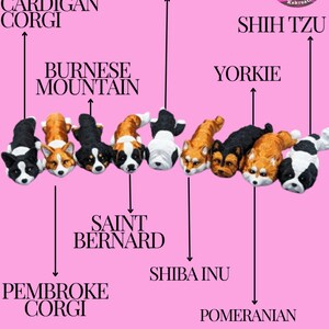 May include: A chart showing different dog breeds with their names listed below each dog. The dogs are illustrated as cartoon-like figures with a pink background.