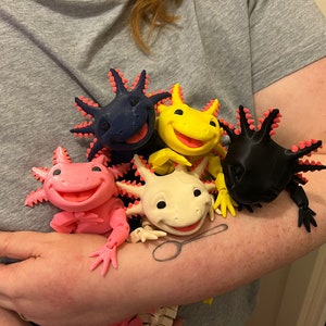 Articulated Smiling Axolotl | Sensory Stress Fidget | As Seen On TikTok | Flexible Multi Coloured Axolotl Cute Gift | 3DPrinted image 2