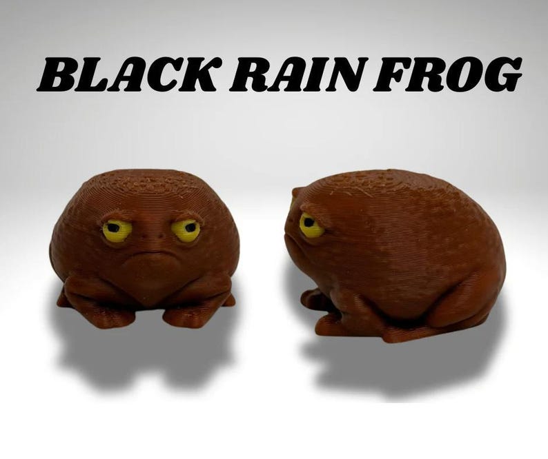 Tiny Black Rain Frog Terrarium - 3D Printed Frog and Terrarium - Room Decor image 2