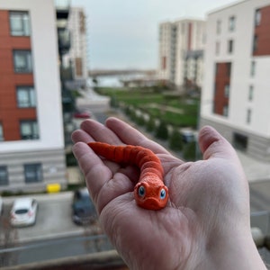 May include: A hand holding a bright orange worm toy with blue eyes. The toy is made of a soft, pliable material.