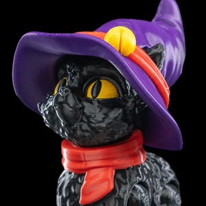 Halloween Cat in a Hat image 4
