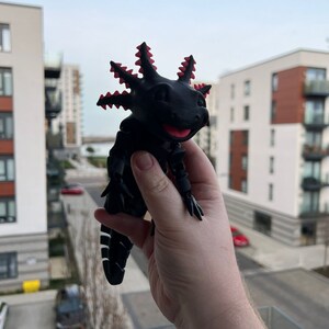 Articulated Smiling Axolotl | Sensory Stress Fidget | As Seen On TikTok | Flexible Multi Coloured Axolotl Cute Gift | 3DPrinted Wild