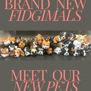 May include: A collection of small, colorful, and detailed dog figurines. The figurines are arranged in a row and feature a variety of breeds, including a Bernese Mountain Dog, a Golden Retriever, a Bulldog, and a Dachshund. The text "BRAND NEW FIDGIMALS" is displayed above the figurines, and the text "MEET OUR NEW PETS" is displayed below the figurines.