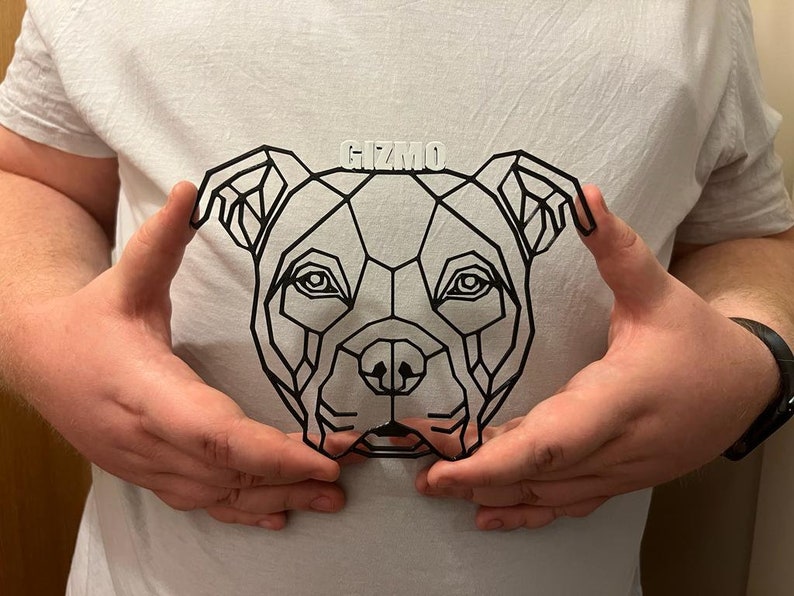May include: A white t-shirt with a geometric black and white design of a dog's head. The dog's name, "Gizmo", is printed above the design.