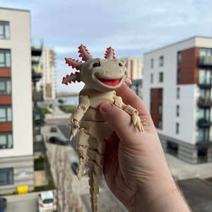 Articulated Smiling Axolotl | Sensory Stress Fidget | As Seen On TikTok | Flexible Multi Coloured Axolotl Cute Gift | 3DPrinted image 5