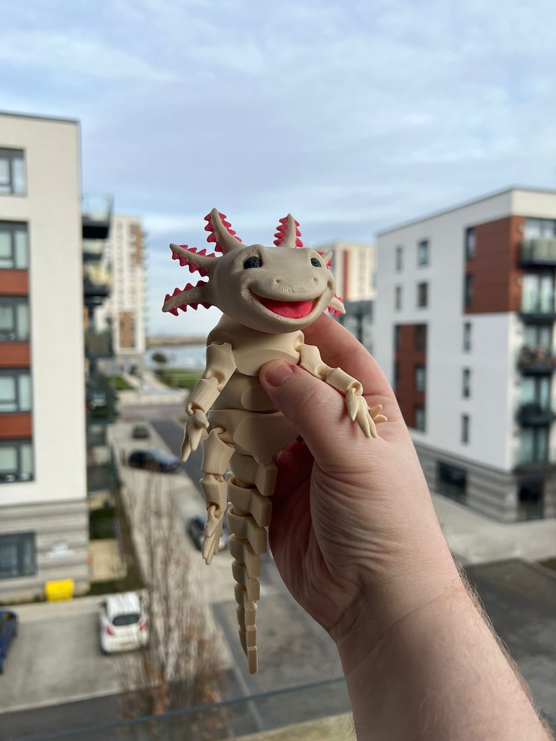 Articulated Smiling Axolotl | Sensory Stress Fidget | As Seen On TikTok | Flexible Multi Coloured Axolotl Cute Gift | 3DPrinted image 5