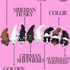 May include: A chart with the names of different dog breeds, including Labrador, Golden Retriever, German Shepherd, Australian Shepherd, Border Collie, Siberian Husky, Collie, and Cat. The chart is illustrated with small, colorful figurines of each dog breed.