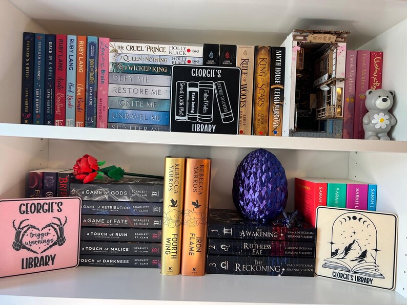 Letrero de biblioteca personalizado de fantasía: decoración de libros, regalo personalizado imagen 3