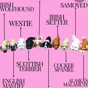 May include: A chart showing different dog breeds with their names listed above each dog. The dogs are arranged in a line from left to right. The chart is on a pink background.