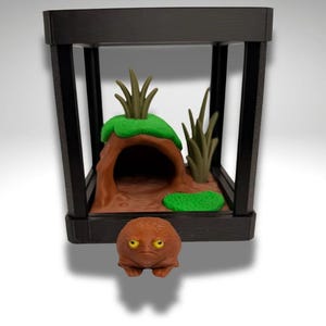 Tiny Black Rain Frog Terrarium - 3D Printed Frog and Terrarium - Room Decor image 3