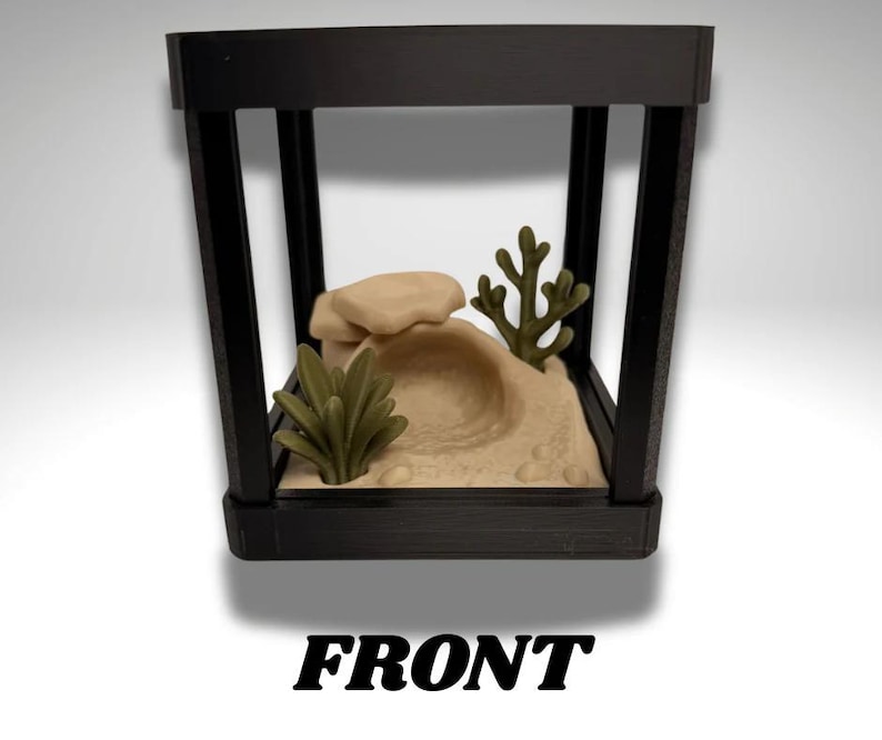 Tiny Desert Frog Terrarium - 3D Printed Frog and Terrarium - Room Decor image 4