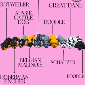 May include: A chart with the names of different dog and cat breeds, with a small figurine of each breed below the name. The breeds are: Maine Coon Cat, Rottweiler, Aussie Cattle Dog, Great Dane, Doodle, Belgian Malinois, Doberman Pincher, Schnauzer, Sphinx Cat, and Poodle.