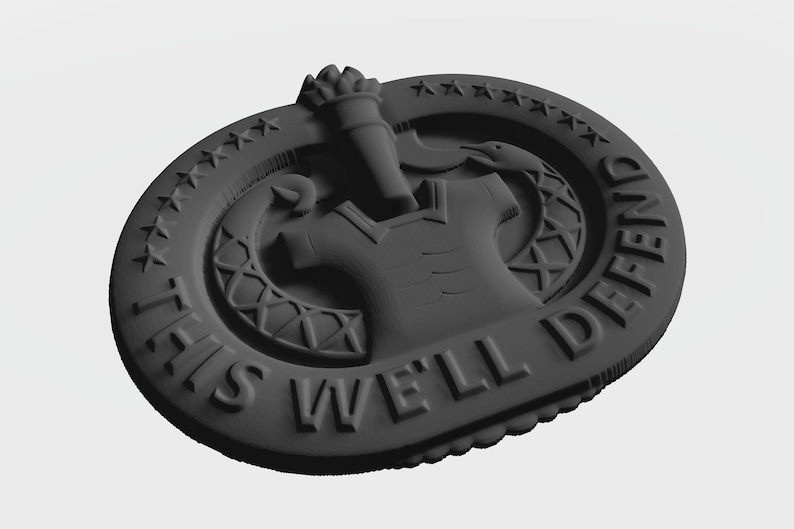 US Army Drill Sergeant "THIS WE'LL DEFEND" Patch - UK