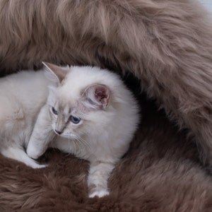 Beige / Grey Greige Luxurious Natural Sheepskin Pet Cave Sheepskin dog bed, cat bed Cat cave, pet furniture, pet couch Choose your size image 2