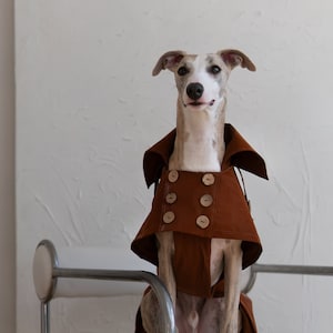 Eco-Friendly Brown Trench Coat for Dogs - Matching Owner-Dog Outfit - Sustainable Pet Fashion