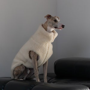 Premium Real Virgin Wool Dog Vest - Matching Adult Coat for Dog Lovers - Warm and Luxurious - Teddy finish. Sherpa Fleece Dog Coat in White