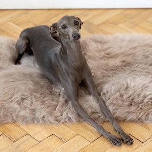 Rectangular or Square Luxurious Natural Sheepskin Pet bed! Sheepskin dog bed, cat bed! Dog mat, pet furniture, pet couch! Choose size, Beige