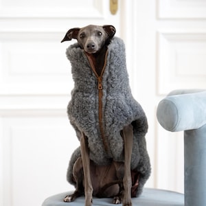 Gilet pour chien en laine vierge et polaire - Gris foncé, coupe personnalisée