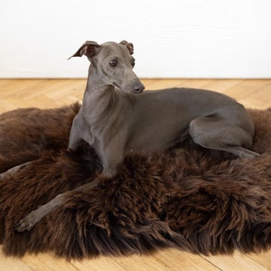 Rectangular or Square Luxurious Natural Sheepskin Pet bed! Sheepskin dog bed, cat bed! Dog mat, pet furniture, pet couch! Choose size, Brown