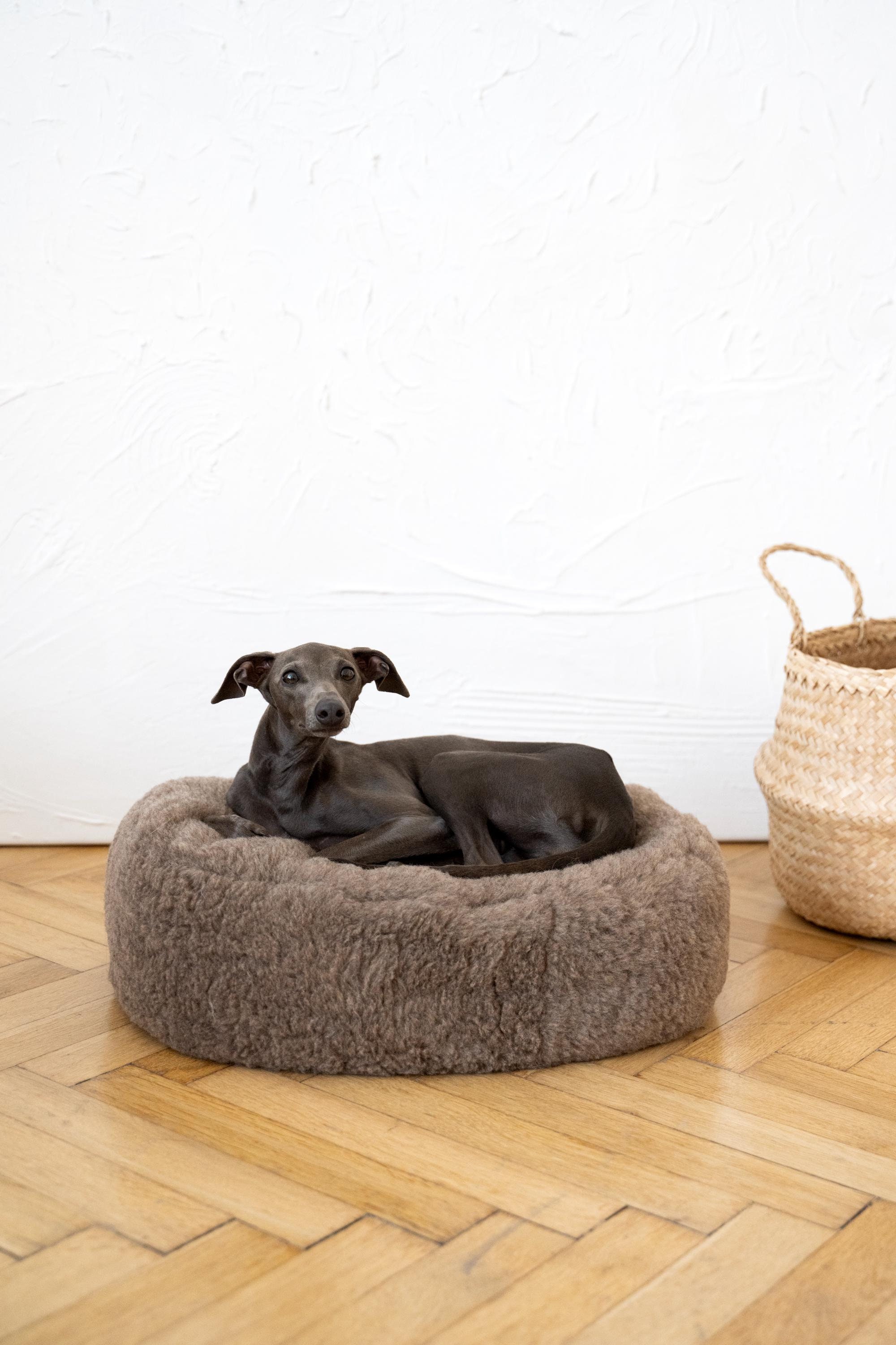 Wool Pet Bed Beige, Minimalist Dog Cat Couch, Handmade