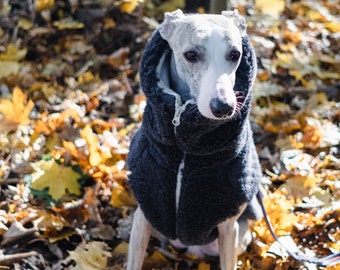 Gilet per cani in vera lana vergine di alta qualità per un comfort canino accogliente. Gilet molto caldo e lussuoso. Finitura Teddy. Cappotto per cani in pile Sherpa