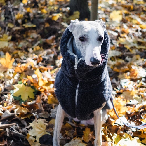Gilet per cani in pile Sherpa di lana vergine - Cappotto invernale caldo e su misura