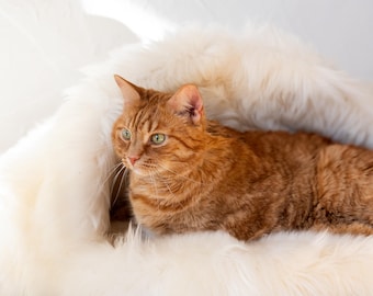 White Sheepskin Pet Cave Bed, Natural Wool Cat or Dog Bed