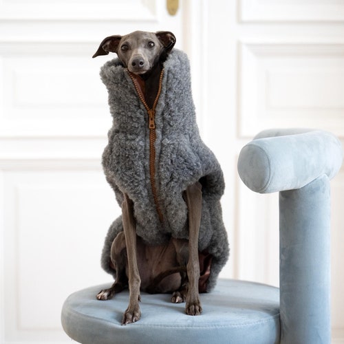 Gilet per cani in pile di lana vergine - Grigio scuro, vestibilità personalizzata