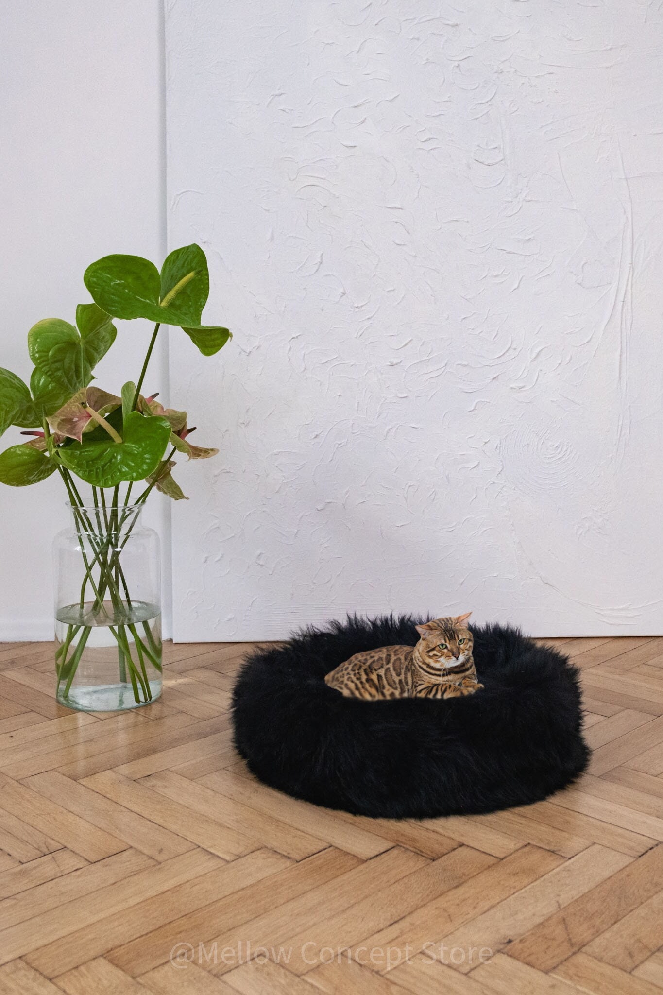 Black Sheepskin Pet Bed, Round Cat Or Dog Natural Wool