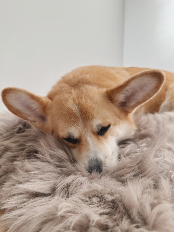Lambskin Pet Blanket Lambskin Pet Blanket