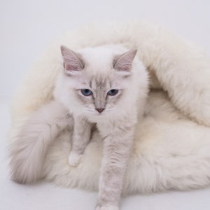 Beige / Grey Greige Luxurious Natural Sheepskin Pet Cave Sheepskin dog bed, cat bed Cat cave, pet furniture, pet couch Choose your size image 5