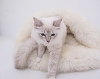 White Luxurious Natural Sheepskin Pet Cave! Sheepskin dog bed, cat bed! Cat cave, pet furniture, pet couch! Choose your size