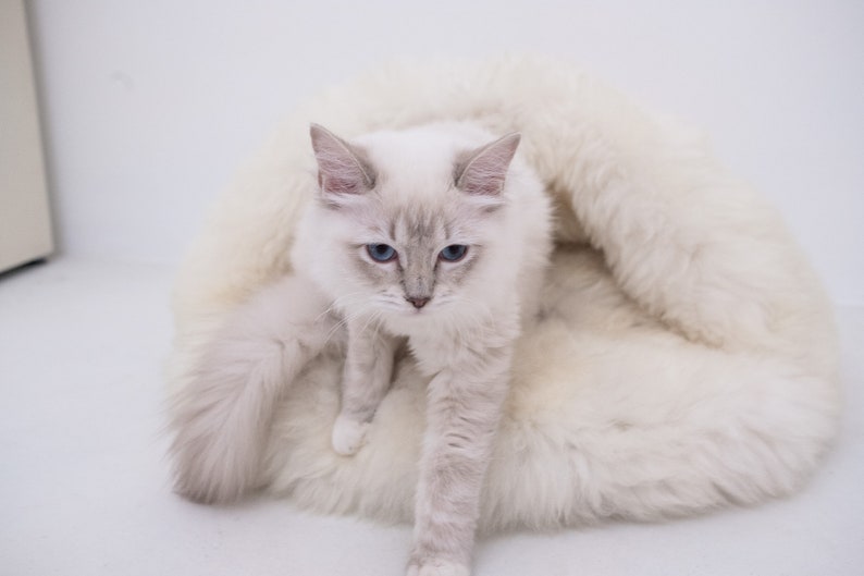 Beige / Grey Greige Luxurious Natural Sheepskin Pet Cave Sheepskin dog bed, cat bed Cat cave, pet furniture, pet couch Choose your size image 5