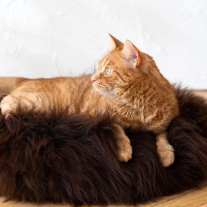 Brown Round Luxurious Natural Sheepskin Pet bed! Sheepskin dog bed, cat bed, minimalistic! Cat house, pet furniture! Choose your size