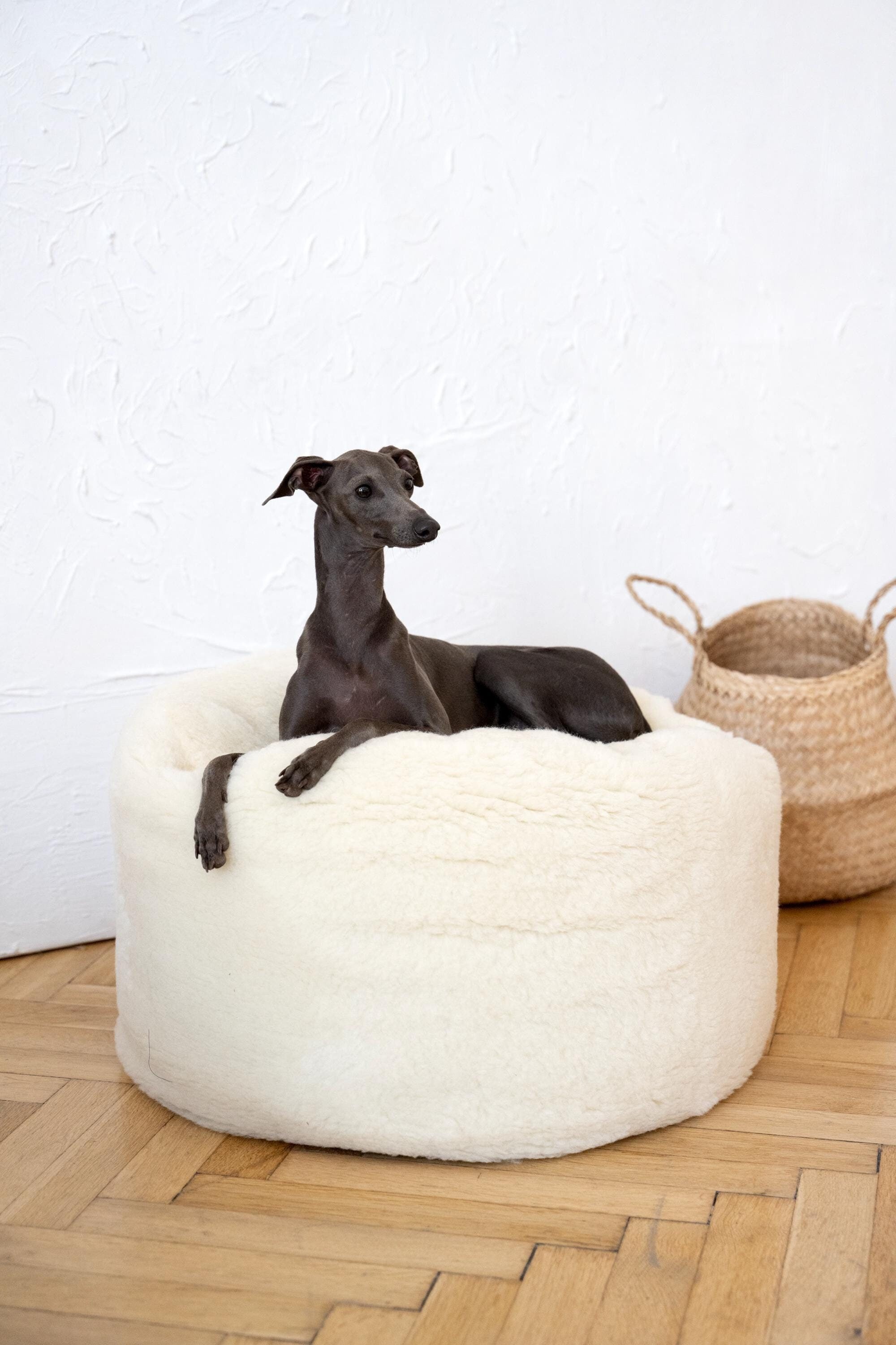 Oval Wool Pet Bed, Minimalist Cat Dog Couch, Handmade