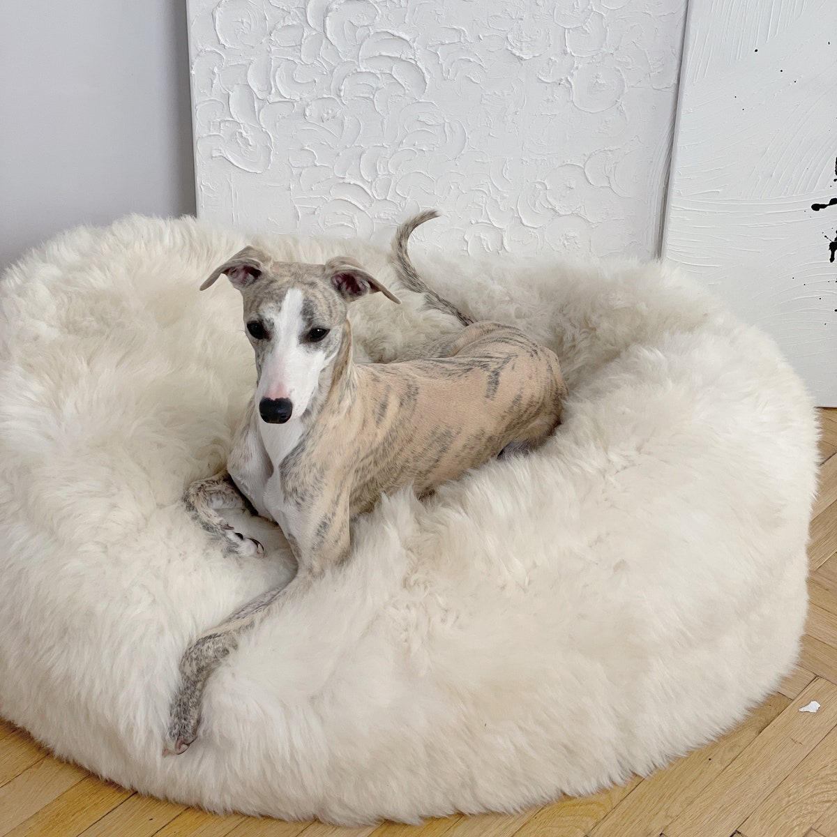 White Oval Luxurious Natural Sheepskin Pet Bed Sheepskin Dog Bed, Cat Bed, Minimalistic Pet Furniture, Pet Couch Choose Your Size - Etsy