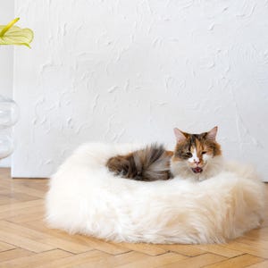White Round Luxurious Natural Sheepskin Pet bed! Sheepskin dog bed, cat bed, minimalistic! Cat house, pet furniture! Choose your size
