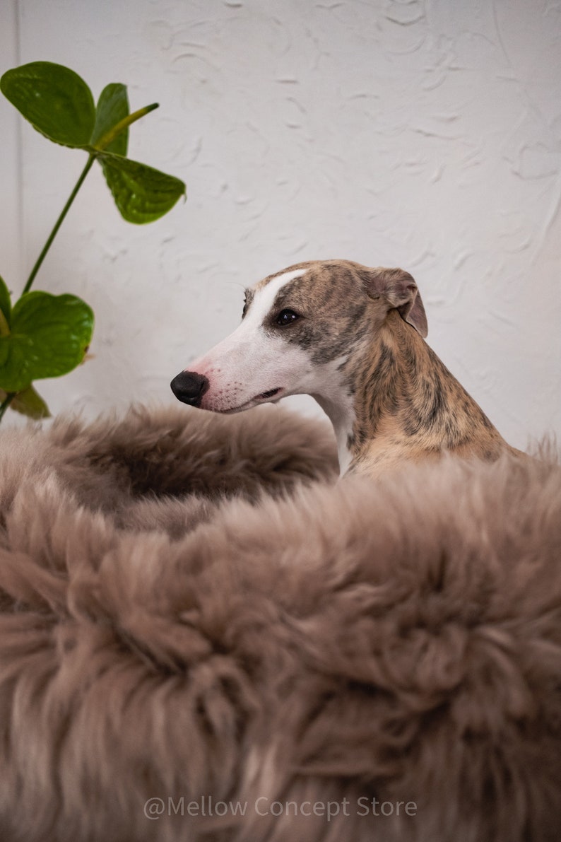 Pouf / Pouf / Ottomano in vera pelle di pecora bianca, elegante e lussuoso. Ottomano in stile scandinavo. Vera pelle di pecora naturale, pouf in stile nordico immagine 9